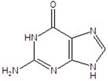 <strong>Identify the structure. </strong> A)uracil B)cytosine C)guanine D)thymine E)adenine
