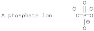 <strong>Which of the following phosphate groups is found in nucleic acids?</strong> A) B) C) D) E)