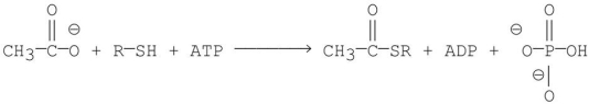 Which of the following is the first step in the mechanism of the reaction shown below?