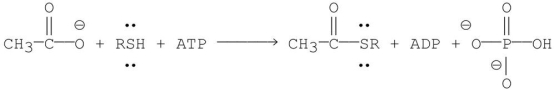 Propose a mechanism for the following reaction.  