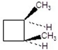 <strong>Give the product(s)for the following reaction. </strong> A) B) C) D) E)