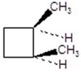 <strong>Give the product(s)for the following reaction.You may choose more than one answer. </strong> A) B) C) D) E)