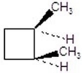 <strong>Give the product(s)for the following reaction.You may choose more than one answer. </strong> A) B) C) D) E)