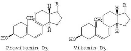 Which of the following best explains the rearrangement when provitamin D<sub>3</sub> rearranges to vitamin D<sub>3</sub>?