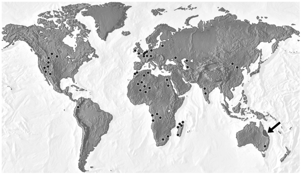 <strong>In the figure below, the region indicated by the arrow is the only modern-day location of the freshwater lungfish. Fossils of the ancestors of the lungfish, however, have been found all over the world (dots throughout map). What does the distribution of these fossils indicate?</strong> A) When Pangaea separated to form our continents, the living ancestors of the lungfish were separated. When they died, some of them formed fossils in their new lands. B) The same species of lungfish evolved on all of Earth's major landmasses after continental drift had stopped. C) The ancestors of the lungfish existed on Pangaea. After they died, some were fossilized. Their fossils were separated by continental drift. D) Lungfish were much more successful in the climates of North America than they were in the climates of South America.