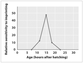 <strong>Examine the graph below. According to this graph, a gosling is most likely to ________ about 15 hours after hatching.</strong> A) develop a sense of who its parent is B) learn new a mating call C) react to a releaser D) exhibit the grasp reflex