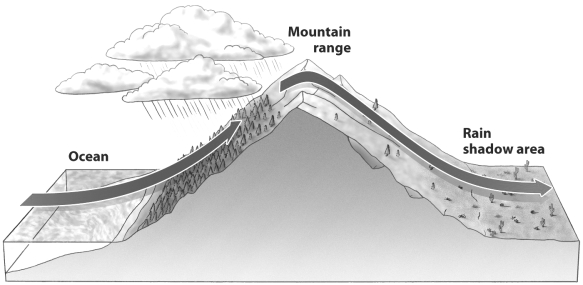 <strong>The figure below illustrates the rain shadow effect. What best explains why the leeward side of the mountain experiences less rainfall?</strong> A) The air mass simply has no more moisture; it was all released on the windward slope. B) As the air flows downslope it is compressed and warmed, allowing it to not only retain its own moisture but often removing moisture from the soil beneath as well. C) The rotation of the earth causes the air moving downslope to be displaced to the right, reducing rainfall behind the mountain. D) All of the above contribute to the rain shadow effect.