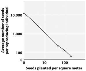 <strong>Examine the graph below. What statement best describes the relationship between planting density and seed production per individual plant?</strong> A) At high planting densities, both seed production per plant and total seeds produced declines. B) At high planting densities, seed production per plant declines while total seeds produced remains constant. C) At low planting densities, both seed production per plant and total seeds produced increases. D) At high planting densities, seed production per plant declines while total seeds produced increases.