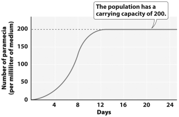 <strong>The graph below shows the growth of a Paramecium population. The greatest amount of daily growth occurred when the population was at approximately ___ percent of its carrying capacity</strong> A) 10 B) 25 C) 50 D) 100