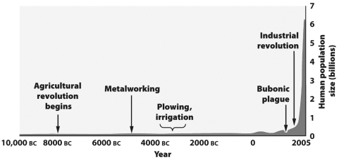 <strong>The figure below shows that the human population was small and relatively stable for nearly 12,000 years, but has increased dramatically in the past 200 years. How might this increase in population growth be explained?</strong> A) Disease prevented any significant growth of the human population. B) For most of human history people were too malnourished to have children. C) People simply chose to have fewer children in the past than at present. D) Prior human populations were at existing carrying capacities but newly developed technologies have raised the carrying capacity and permitted the recent expansion.