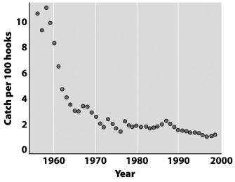 <strong>The graph below illustrates the relationship between fishing effort and the catch of large predatory fish, like tuna, during the past 40 years.   What best explains the pattern illustrated in this graph?</strong> A) Fish are adaptive and eventually learn to avoid hooks. B) Anthropogenic chemical, thermal, and sound pollution has greatly reduced the carrying capacity for large predatory fish. C) Large predatory fish are at the top of their food webs where biomagnification produces the greatest impact. D) Highly efficient harvesting technologies remove these fish species at rates much greater than the rates of natural replacement. <div style=padding-top: 35px> 