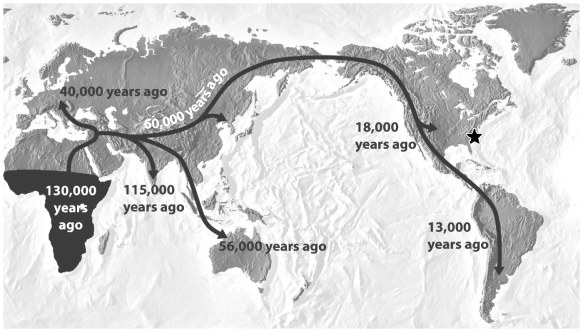 <strong>In the figure below, the arrows on the map indicate a hypothesis regarding the movement of modern human populations throughout the world. In 2004, a set of human tools dated to 50,000 years old was found at the location of the star on the map (the Southeast United States). If the age of these tools is correct, which of the following is true?</strong> A) This discovery disproves the out-of-Africa hypothesis. B) This discovery confirms the multiregional hypothesis. C) This discovery suggests that modern humans evolved in North America rather than Africa. D) This discovery suggests that the human colonization occurred at a much faster rate than previously hypothesized by scientists.