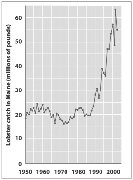<strong>Examine the graph below. While the dramatic increase in the Maine lobster harvest shown in the graph has been good for lobster fishermen and consumers, it may simply reflect</strong> A) the J-shaped curve of exponential growth and signal an imminent collapse of the lobster fishery. B) a serious disturbance in the trophic relationships of the coastal ecosystem. C) improvements in lobster fishing or increases in the number of fishermen. D) one of the few species that has benefited from global climate change.