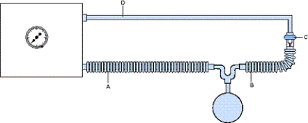 <strong>In the image,what does B represent? </strong> A) Expiratory valve line B) Exhalation valve C) Expiratory line D) Main inspiratory line
