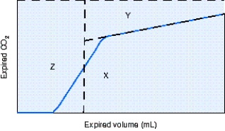 <strong>The area represented by the letter Y in the figure is which of the following? </strong> A) End-tidal carbon dioxide (EtCO<sub>2</sub>) B) Alveolar ventilation C) Alveolar dead space D) Airway dead space