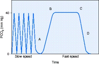 <strong>The partial pressure of end-tidal carbon dioxide (PₑₜCO₂)reading is taken at what point in the figure? </strong> A) Point A B) Point B C) Point C D) Point D