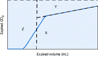 <strong>The area represented by the letter Y in the figure is which of the following? </strong> A) End-tidal carbon dioxide (EtCO₂) B) Alveolar ventilation C) Alveolar dead space D) Airway dead space