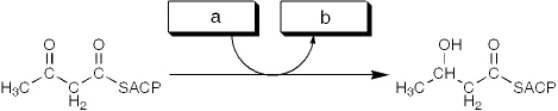 <strong>Which group of small molecules best fit the boxes associated with the reaction shown? </strong> A) I B) II C) III D) IV