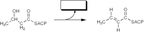 <strong>The enzyme activity catalyzing the reaction shown is best termed a </strong> A) reductase B) ketothiolase C) transferase D) dehydratase