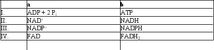 <strong>Which group of small molecules best fit the boxes associated with the reaction shown?    </strong> A) I B) II C) III D) IV <div style=padding-top: 35px> 
