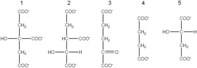 <strong>Exhibit 19A   The following compounds are all intermediates in the citric acid cycle. Refer to Exhibit 19A.Which intermediate releases CO<sub>2</sub> concurrent with oxidation?</strong> A) 1 B) 2 C) 3 D) Both 1 and 3 E) Both 2 and 3 <div style=padding-top: 35px> 