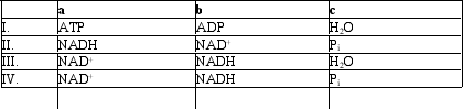 <strong>Which group of small molecules best fit the boxes associated with the reaction shown? </strong> A) I B) II C) III D) IV