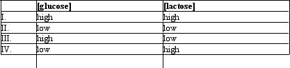 <strong>Which of the conditions would result in the greatest amount of transcription of the lac operon? </strong> A) I B) II C) III D) IV