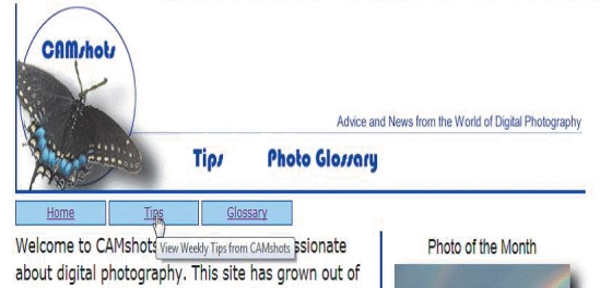 -The accompanying figure shows an example of a(n)____ applied to a link