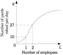 <strong>Refer to the information provided in Figure 7.3 below to answer the questions that follow. Figure 7.3 Refer to Figure 7.3. The marginal product of the second worker is ________ yards raked.</strong> A) 2 B) 13.5 C) 17 D) 27