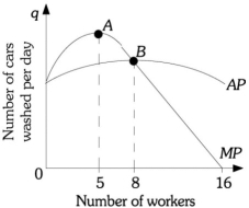 <strong>Refer to the information provided in Figure 7.5 below to answer the questions that follow. Figure 7.5 Refer to Figure 7.5. Diminishing marginal returns set in after the ________ worker is hired.</strong> A) first B) fifth C) eighth D) sixteenth