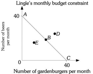 Refer to the information provided in Figure 6.2 below to answer the questions that follow. Figure 6.2 -Refer to Figure 6.2. Assume Mr. Lingle is on budget constraint AC. If the price of a gardenburger is $6, Mr. Lingle's monthly income is