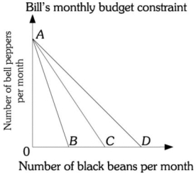 Refer to the information provided in Figure 6.4 below to answer the questions that follow. Figure 6.4 -Refer to Figure 6.4. Bill's budget constraint is AC. If the black bean price decreases, Bill's budget constraint will be