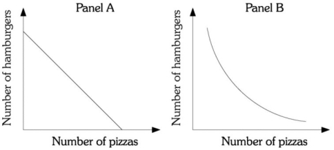 Refer to the information provided in Figure 6.14 below to answer the questions that follow. Figure 6.14 -Refer to Figure 6.14. Assume Ellen has two products available, pizza and hamburgers. Ellen must be compensated with more pizzas as she gives up more burgers. The curve in Panel ________ represents her indifference curve.