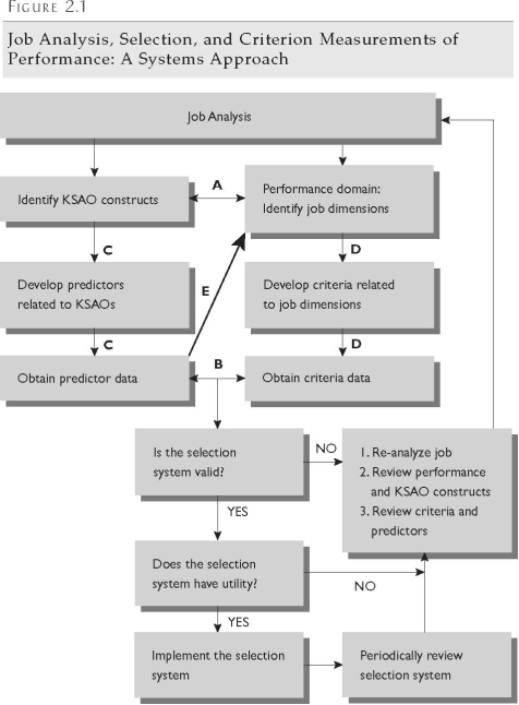 <strong> Refer to Figure 2.1. What relationship does Line A represent?</strong> A) the relationship among job analysis, knowledge, skills, abilities, and other attributes and performance management B) the relationship between the performance domain and the knowledge, skills, abilities, and other attributes that contribute to the performance of job tasks and behaviours C) the relationship between the knowledge, skills, abilities, and other attributes constructs and performance competencies D) the relationship among job analysis, knowledge, skills, abilities, and other attributes, and performance criteria and dimensions