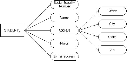 <strong>For the following entity and attribute model, what would be the key attribute of the Students entity? </strong> A)social security number B)name C)address D)street