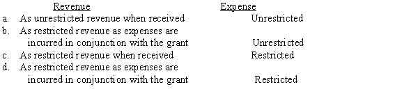 How is a government grant accounted for at a public university?