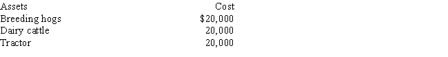 Determine the MACRS cost recovery deductions for 2016 and 2017 on the following assets that were purchased for use in a farming business on July 15,2016.The taxpayer does not wish to use the Section 179 election. a.Breeding hogs depreciation:Total 2016 Breeding hogs Cost Recovery Deduction (show your calculations)Total 2017 Breeding hogs Cost Recovery Deduction (show your calculations) b.Dairy cattle depreciation:Total 2016 Dairy Cattle Cost Recovery Deduction (show your calculations)Total 2017 Dairy Cattle Cost Recovery Deduction (show your calculations) c.Tractor depreciation:Total 2016 Tractor Cost Recovery Deduction (show your calculations)Total 2017 Tractor Cost Recovery Deduction (show your calculations)