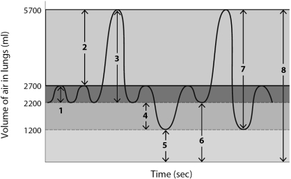 Use this figure to answer the corresponding questions. -Number 3 identifies the ____________________, which is the sum of the ____________________, identified as number ____, and ____________________, identified as number ____.