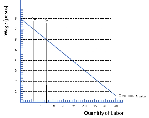 <strong>Figure 9.3 Figure 9.3 represents the Mexican labor market. Assume that labor and capital are the only factors of production. Also assume the initial supply schedule of labor is denoted by S<sub>0</sub> and consists entirely of native Mexican workers. The demand schedule of labor is denoted by D<sub>Mexico</sub>. Consider Figure 9.3. Policies that permit Honduran workers to freely migrate to Mexico would likely be resisted by:</strong> A) Mexican capital owners B) Native Mexican workers C) Mexican capital owners and native Mexican workers D) Neither Mexican capital owners nor native Mexican workers
