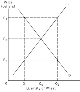 <strong>Exhibit 39-2 Refer to Exhibit 39-2.If P<sub>1</sub> is a price support,the cost of the price support program to the government is</strong> A) P<sub>1</sub> x Q<sub>2</sub>. B) P<sub>1</sub> x (Q<sub>2</sub> - Q<sub>0</sub>). C) P<sub>1</sub> x (Q<sub>0</sub> - Q<sub>1</sub>). D) P<sub>1</sub> x (Q<sub>2</sub> - Q<sub>1</sub>). E) none of the above