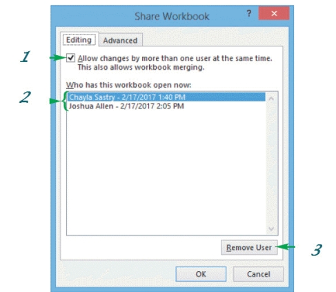 <strong> The item marked 1 in the accompanying figure is checked to _______.</strong> A)allow individual editing of the workbook B)allow simultaneous editing of the workbook C)allow alternate editing of the workbook D)allow consecutive editing of the workbook