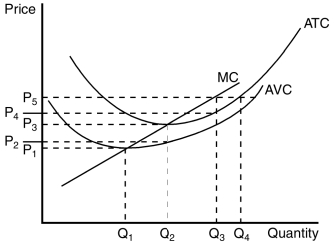Figure 14-4 The figure below depicts the cost structure of a firm in a competitive market. -Refer to Figure 14-4.When market price is P₂,a profit-maximizing firm's losses can be represented by the area