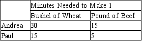 <strong>Table 3-4 Assume that Andrea and Paul can switch between producing wheat and producing beef at a constant rate. Refer to Table 3-4. Which of the following combinations of wheat and beef could Andrea produce in one 8-hour day?</strong> A) 16 bushels of wheat and 32 pounds of beef B) 9 bushels of wheat and 25 pounds of beef C) 7 bushels of wheat and 15 pounds of beef D) 10 bushels of wheat and 13 pounds of beef