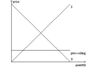 <strong>Figure 6-1 Panel (a) Panel (b) Refer to Figure 6-1. The price ceiling shown in panel (b)</strong> A) is not binding. B) creates a surplus. C) creates a shortage. D) Both a) and b) are correct.