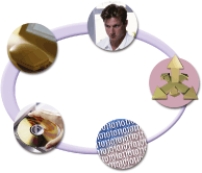 -In the accompanying figure showing the components of an information system, _________________________ describe(s) the tasks and business functions that users, managers, and IT staff members perform to achieve specific results.