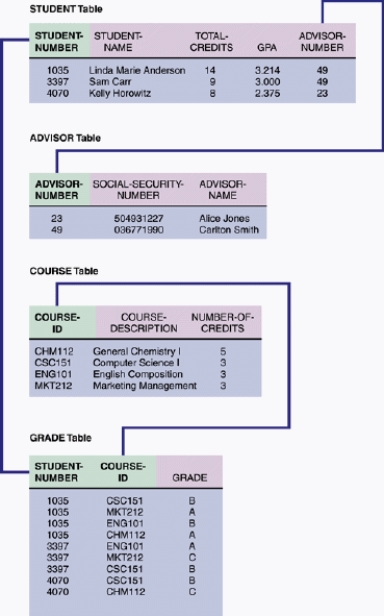 <strong>  In the accompanying figure, a ____ is a field or combination of fields that uniquely and minimally identifies a particular member of an entity.</strong> A) primary key B) common key C) secondary key D) combination key <div style=padding-top: 35px> 