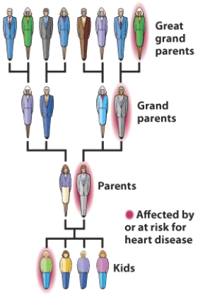 Based on the visuals below, what would you determine the kids' risk for heart disease to be?