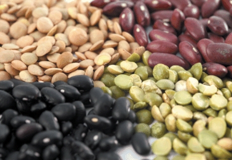 <strong>Which type of complex carbohydrates are depicted in the visual? </strong> A) Insoluble fiber B) Starch C) Soluble fiber D) Starch and Soluble fiber