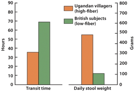 <strong>Which of the following conclusions can be accurately drawn from the results depicted in this visual? </strong> A) Following a high-fiber diet increases transit time. B) Following a low-fiber diet decreases transit time. C) Following a low-fiber diet adds weight to the weight. D) Stool weights are greater and transit times are shorter for Ugandan villagers.