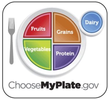 Based on the MyPlate icon, explain why consuming a variety of foods from all of the food groups is necessary to obtain the minerals. Be sure to name a few key nutrients from each food group.  <div style=padding-top: 35px> 